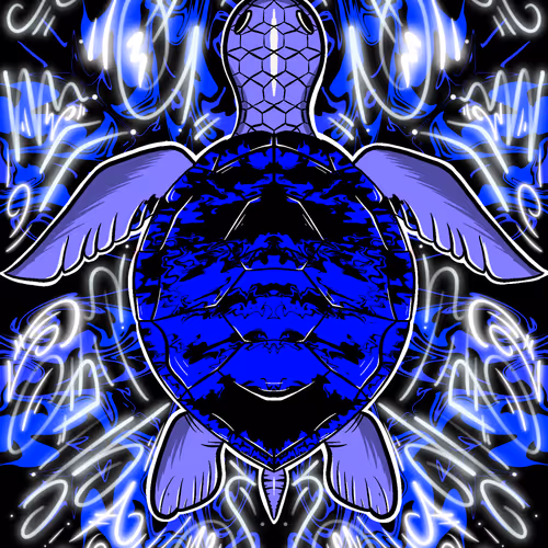 Trippy Shell #11