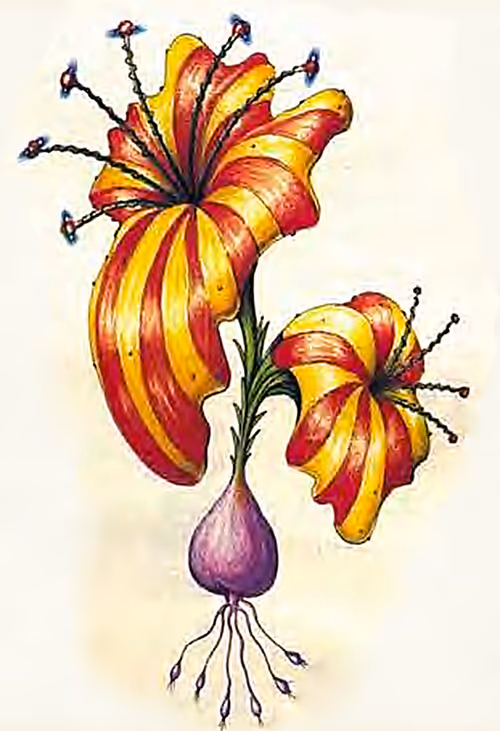 Item #78864796298763862712883292803622526859653475415382773801457426605183785238529 Media