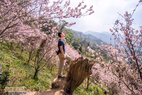 Item #100744422725674417057824683306763013505668843176654858816283484007698815516673 Media