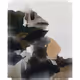 81000349583626805459949050477103678360194117069500934513787787830238463918081