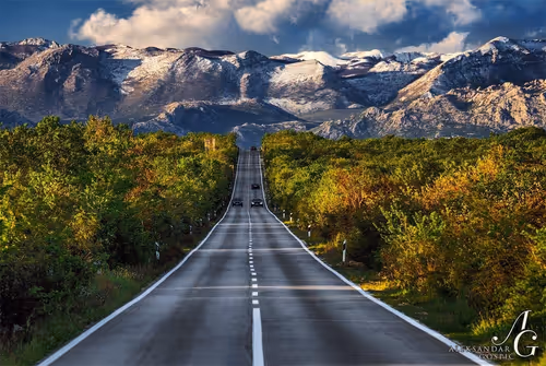 Item #65345487953311582179904319908136273825398030986349115812322284649108767506433 Media