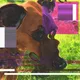 51085132585311678213666365158369168685884962440625854427983409351213082214401