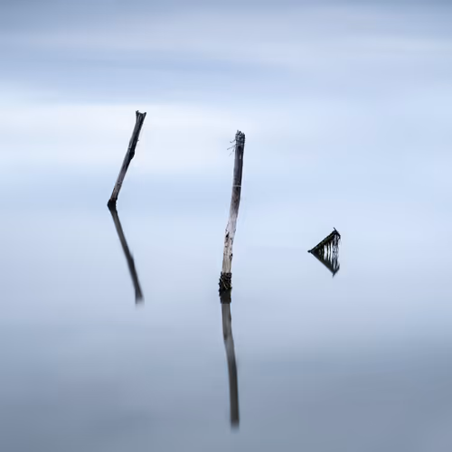 Item #53325246992838792859275335759448641474179368626914689986754702948975404646401 Media