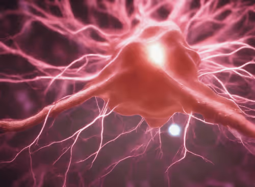 Item #98695163844141812296559601516468632585703412525772017875852753218681438208001 Media