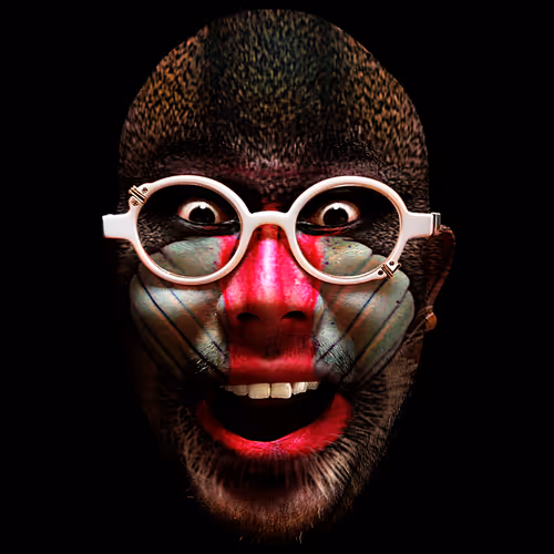 Item #90027293988038224220449632626584799523604618337544506490934227975969391509505 Media