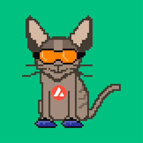 Cryptorobocat Wtm9GNHTED