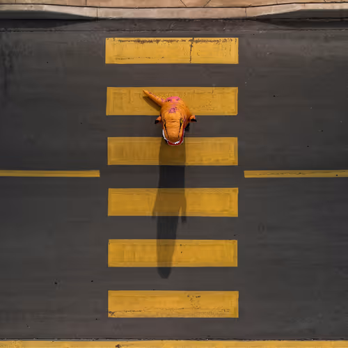 100600280271040798317723628260513137156606623100883316454227272010019012345857