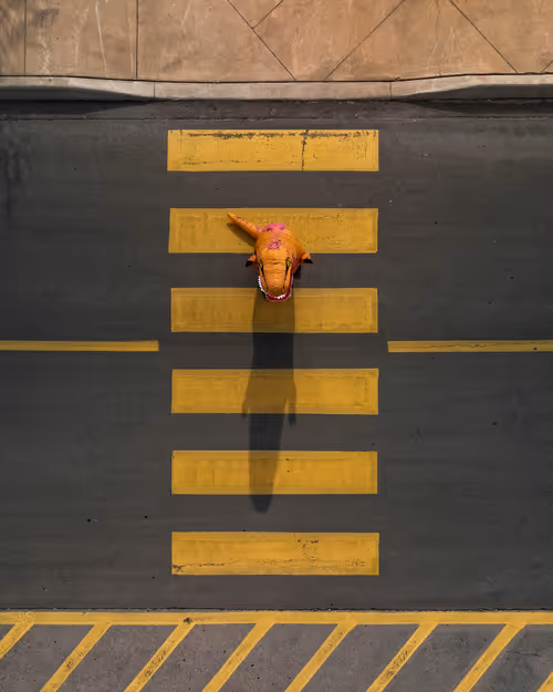 Item #100600280271040798317723628260513137156606623100883316454227272010019012345857 Media