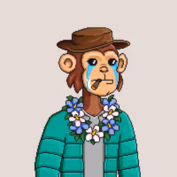 24501027083874393306898292102291113773597434786230668256473114615755164352513