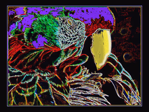 Item #20621945179891193764589773501353900658729707764810051975031089720499747422209 Media