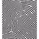 3799515490220879732882333409938015140683167415382329987461811147525217845249