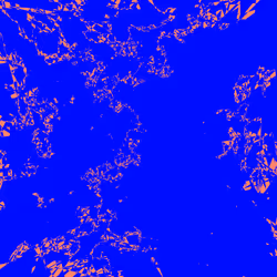 4277533251867554503033830801493618956121864678661004551727811989605223235585