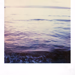Polaroid land #10