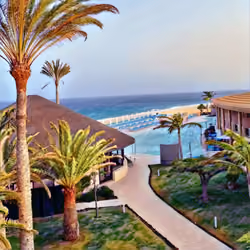 Paradise