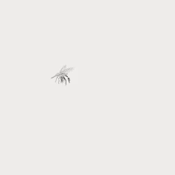 #2 mosquito GTFO