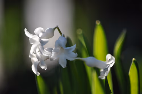 Item #106870078454534698311606461225664382982354268042883800261475775710103106224129 Media