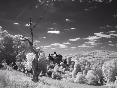 Item #40160686583094733528677484039903516258611509642019211679321071651883747115009 Media