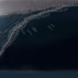 Colors 16