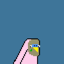 Budgie #209
