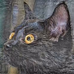 cat#3448