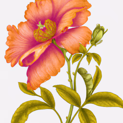 Botanica 2023