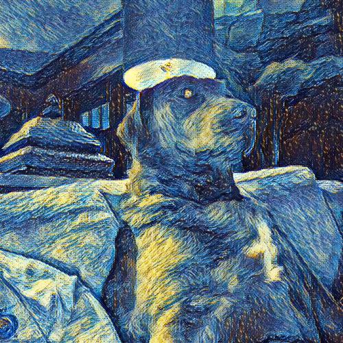 Untitled Collection #59709815