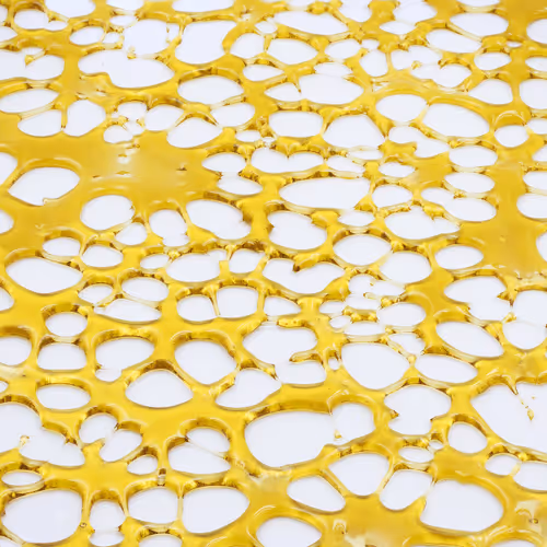 HalfBakedGenius Collection