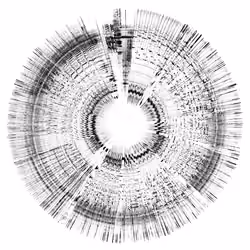 Korn: Freak on a Leash - Generative Art