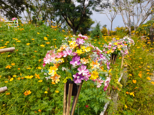 Item #42681016513473886367928798461546651982710033515694921359997072502810283606017 Media