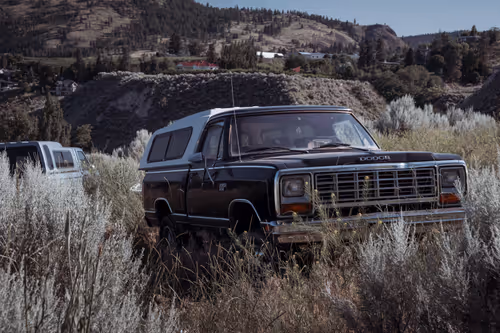 Item #17366406229194593202648770704936935496893237716448921109643338211733274624001 Media