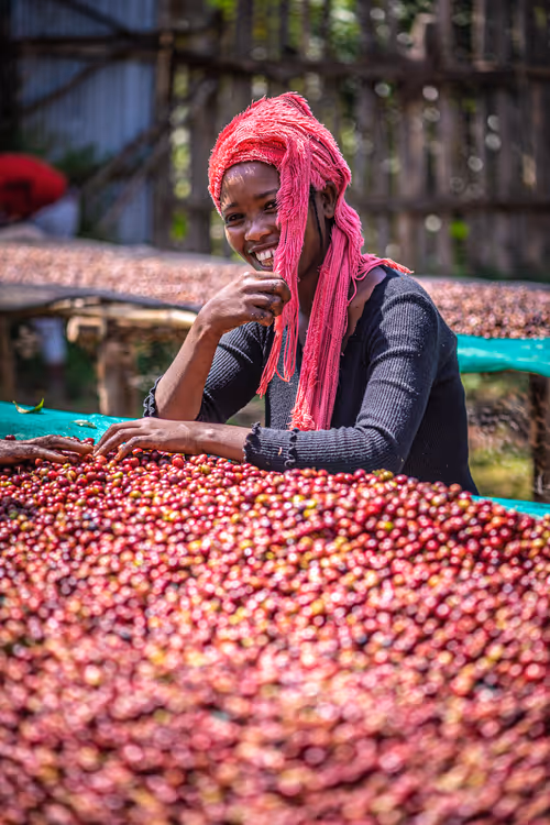 Item #50027882237522295676960542276708360859068113986169674979910834062535864352769 Media