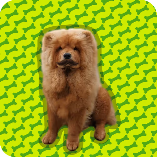 18069411133127541891764540209837632150727605560921678338142275892911487844353