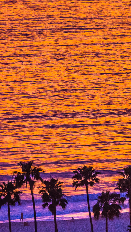 Item #36803766187647196690517014366493952358167166362150973793678746425719441588225 Media