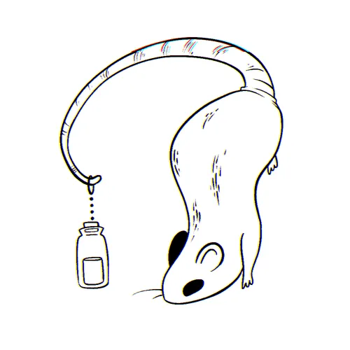 Item #50496002844286805340173122925406376410566795616675307401019268656943436136449 Media