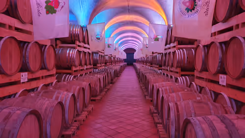 Item #41710495051253728513417233930932535486620982001984973039439061916214651518977 Media