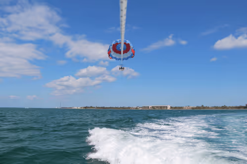 DMForSales Collection