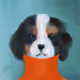 63975333118403140442996120710175465700262529783758148557518679655116110299137