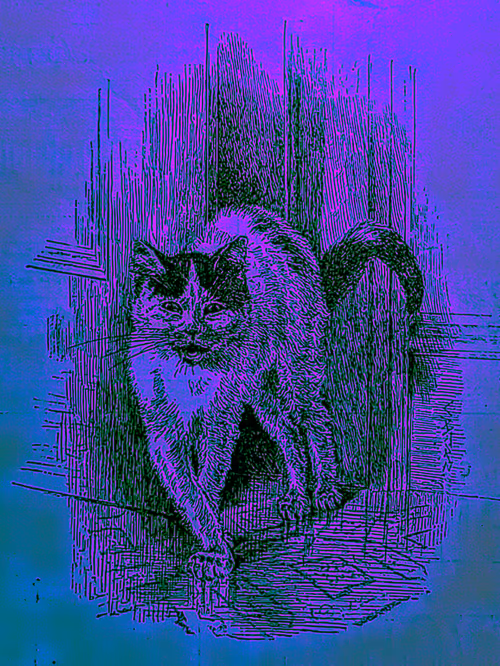 Item #35247308013863639916483757756408588227786114589757564733366544663899352858654 Media