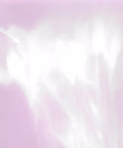 Item #66412083877775050052255921183624814536266007620308041883263231627935195594753 Media