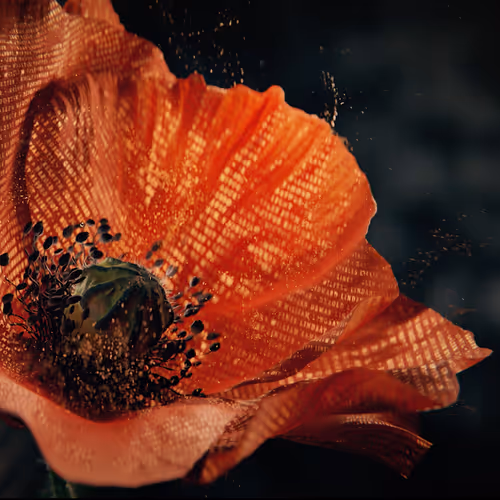 Item #54146082010400626142033190626811009624551032097677302424069293433279989415946 Media