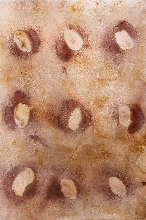 Item #111264774895172989553606282022194155892745764425417346937131400128944716906497 Media