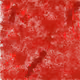 58039948441176090950854340754165704511746225355095881471420064313814686892042