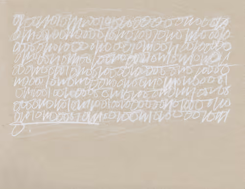 SashaStiles Collection