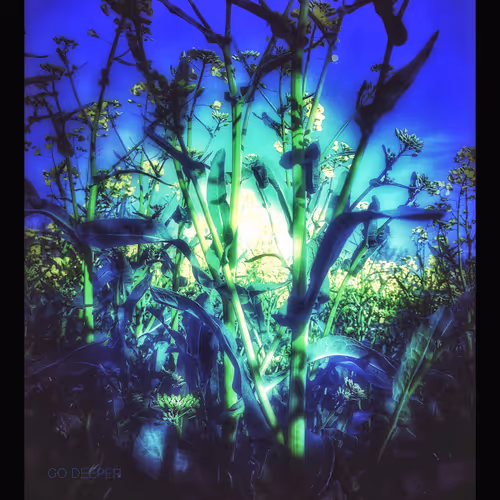 3787080761074609709675817509753112159059746763483256848434353557796408000517