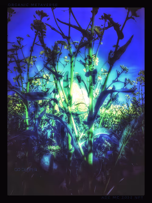 Item #3787080761074609709675817509753112159059746763483256848434353557796408000517 Media