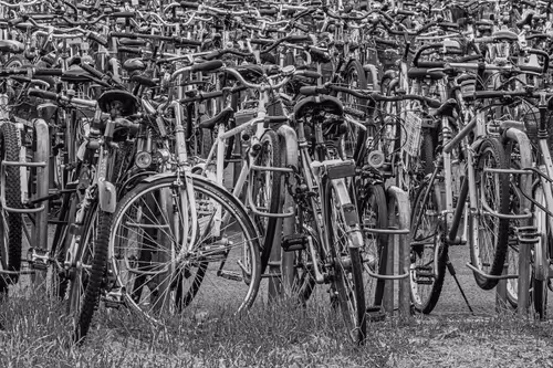 Item #12333759371985289416686528618250941787801478820548931806244366500929856339969 Media