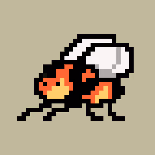 Rare Fly 001