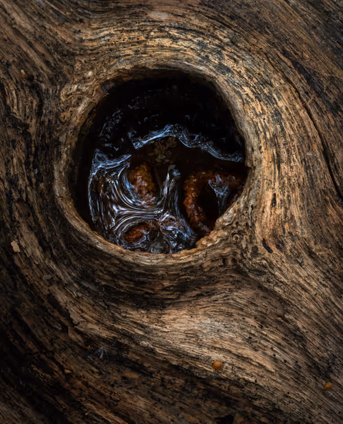 Item #92025450797269199699519638407999947828010124563072321716364901903448630362113 Media