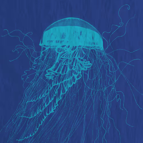 113233535435930126246803406212525192330824104616936385021501681255088595664897