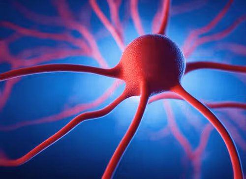 Item #98695163844141812296559601516468632585703412525772017875852753137317577752577 Media